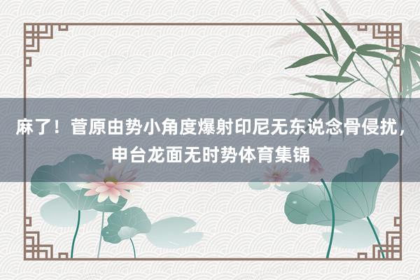 麻了！菅原由势小角度爆射印尼无东说念骨侵扰，申台龙面无时势体育集锦