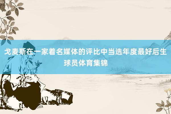 戈麦斯在一家着名媒体的评比中当选年度最好后生球员体育集锦