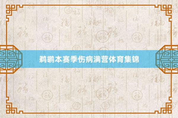 鹈鹕本赛季伤病满营体育集锦