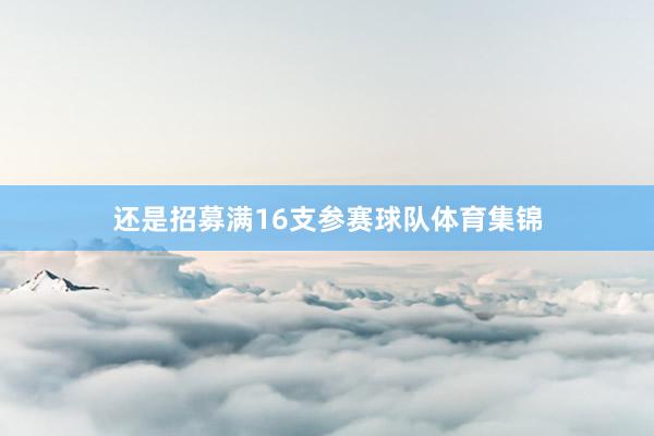 还是招募满16支参赛球队体育集锦
