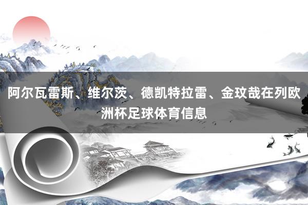 阿尔瓦雷斯、维尔茨、德凯特拉雷、金玟哉在列欧洲杯足球体育信息