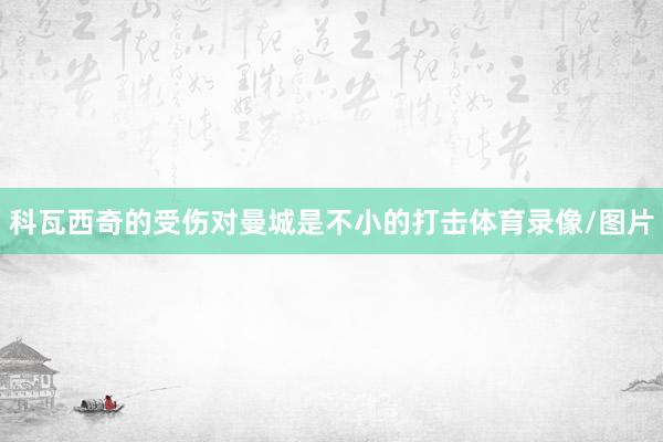 科瓦西奇的受伤对曼城是不小的打击体育录像/图片