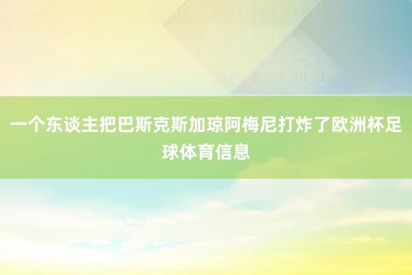 一个东谈主把巴斯克斯加琼阿梅尼打炸了欧洲杯足球体育信息
