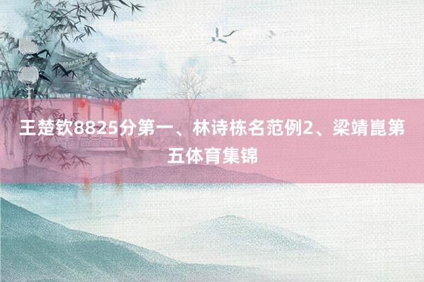 王楚钦8825分第一、林诗栋名范例2、梁靖崑第五体育集锦