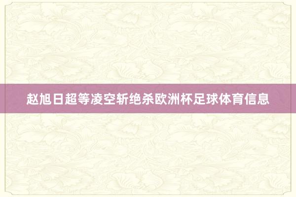 赵旭日超等凌空斩绝杀欧洲杯足球体育信息