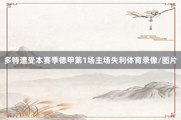 多特遭受本赛季德甲第1场主场失利体育录像/图片