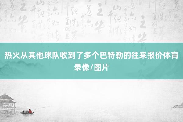 热火从其他球队收到了多个巴特勒的往来报价体育录像/图片
