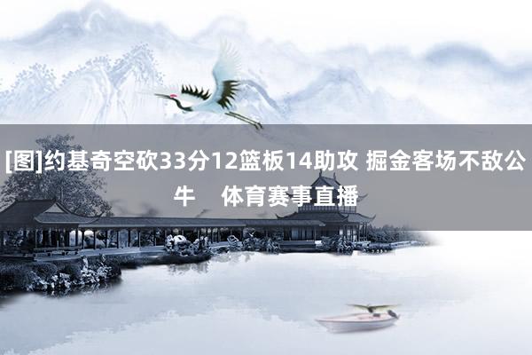 [图]约基奇空砍33分12篮板14助攻 掘金客场不敌公牛    体育赛事直播
