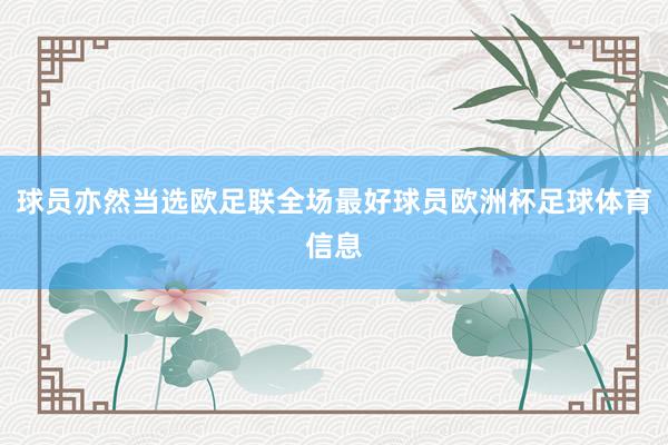 球员亦然当选欧足联全场最好球员欧洲杯足球体育信息