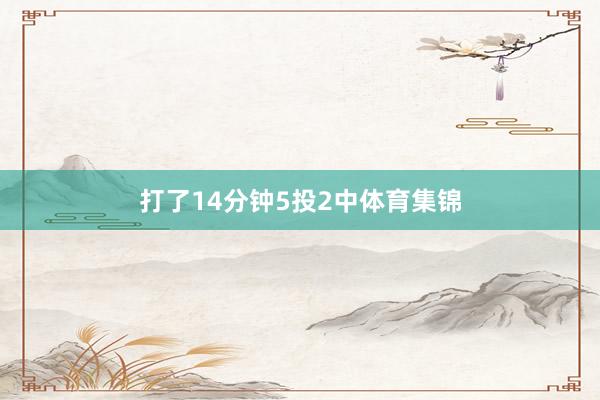打了14分钟5投2中体育集锦