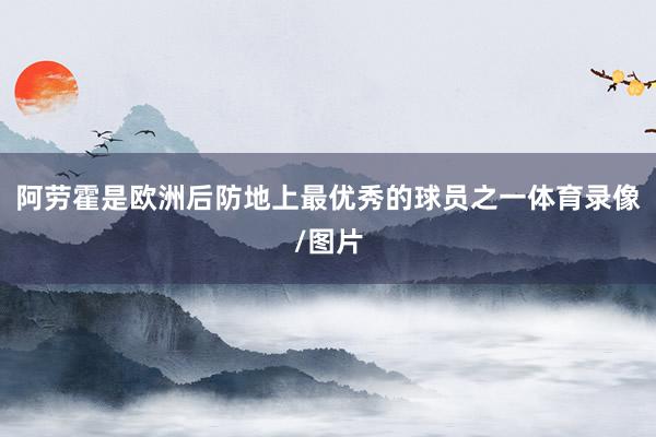 阿劳霍是欧洲后防地上最优秀的球员之一体育录像/图片