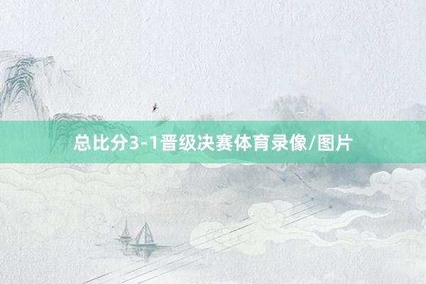 总比分3-1晋级决赛体育录像/图片