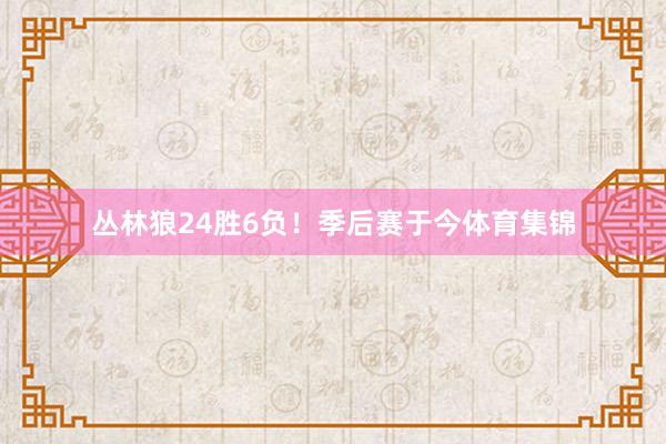 丛林狼24胜6负！季后赛于今体育集锦