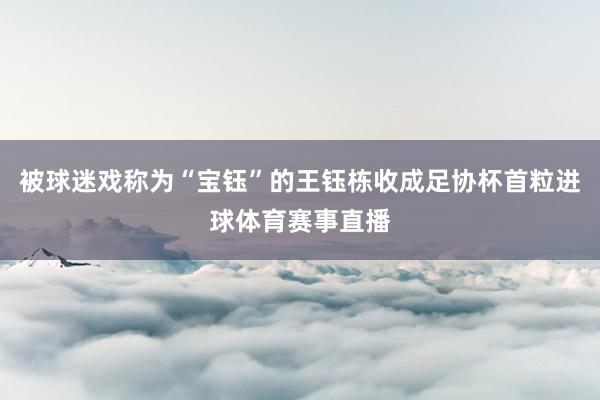 被球迷戏称为“宝钰”的王钰栋收成足协杯首粒进球体育赛事直播