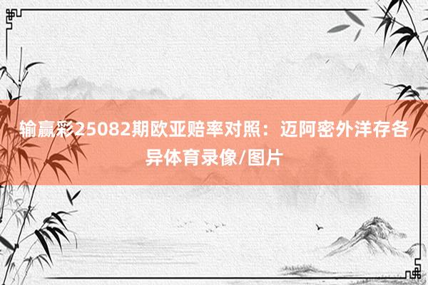输赢彩25082期欧亚赔率对照:迈阿密外洋存各异体育录像/图片
