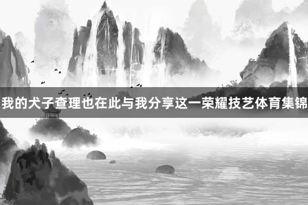 我的犬子查理也在此与我分享这一荣耀技艺体育集锦