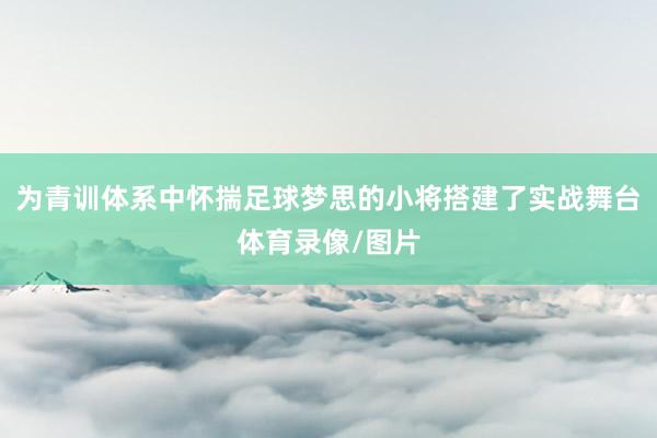 为青训体系中怀揣足球梦思的小将搭建了实战舞台体育录像/图片