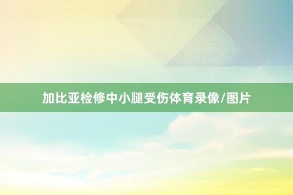 加比亚检修中小腿受伤体育录像/图片