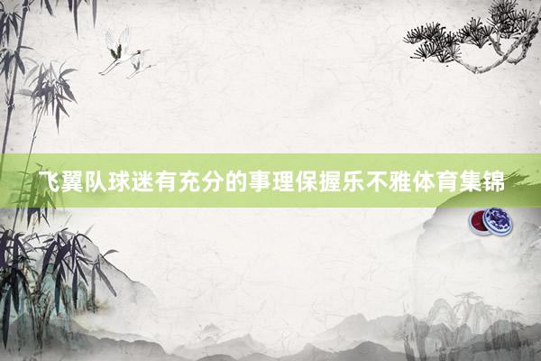 飞翼队球迷有充分的事理保握乐不雅体育集锦