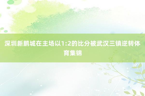深圳新鹏城在主场以1:2的比分被武汉三镇逆转体育集锦