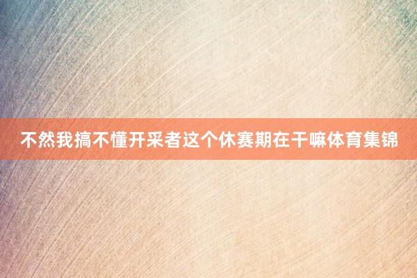 不然我搞不懂开采者这个休赛期在干嘛体育集锦
