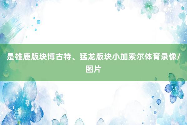 是雄鹿版块博古特、猛龙版块小加索尔体育录像/图片