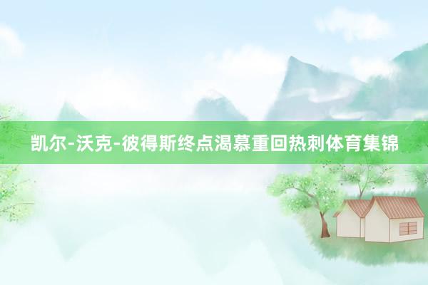 凯尔-沃克-彼得斯终点渴慕重回热刺体育集锦