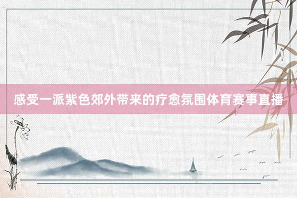 感受一派紫色郊外带来的疗愈氛围体育赛事直播