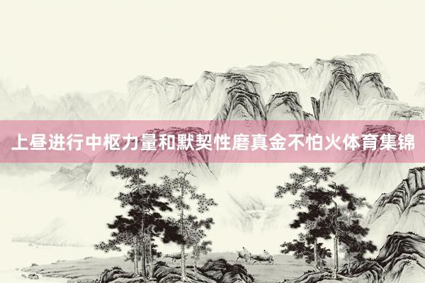 上昼进行中枢力量和默契性磨真金不怕火体育集锦
