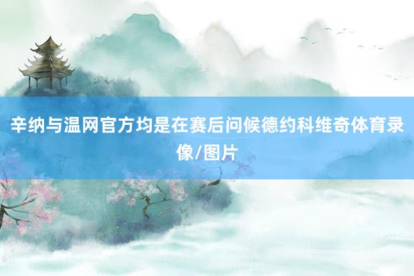 辛纳与温网官方均是在赛后问候德约科维奇体育录像/图片