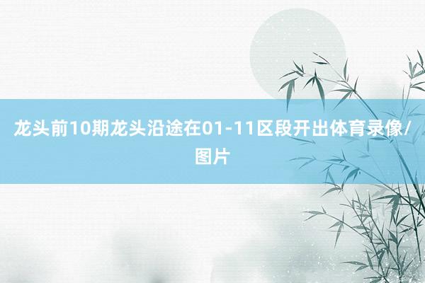 龙头前10期龙头沿途在01-11区段开出体育录像/图片