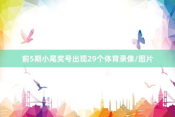 前5期小尾奖号出现29个体育录像/图片