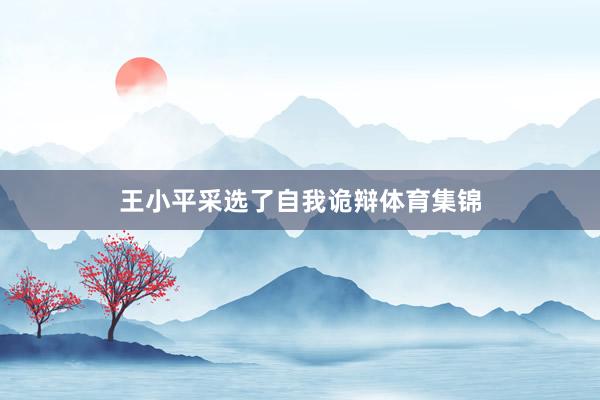 王小平采选了自我诡辩体育集锦