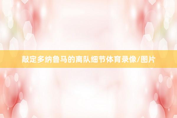 敲定多纳鲁马的离队细节体育录像/图片