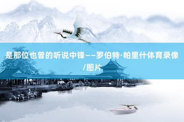 是那位也曾的听说中锋——罗伯特·帕里什体育录像/图片