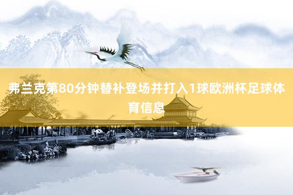 弗兰克第80分钟替补登场并打入1球欧洲杯足球体育信息