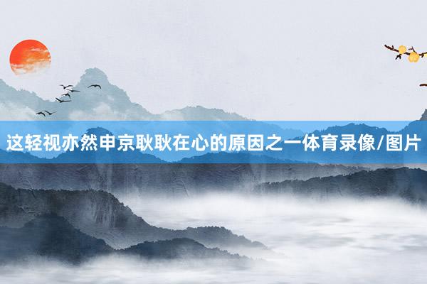 这轻视亦然申京耿耿在心的原因之一体育录像/图片
