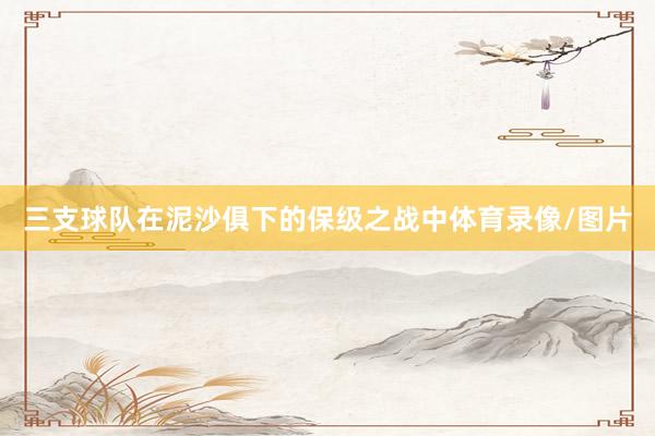 三支球队在泥沙俱下的保级之战中体育录像/图片