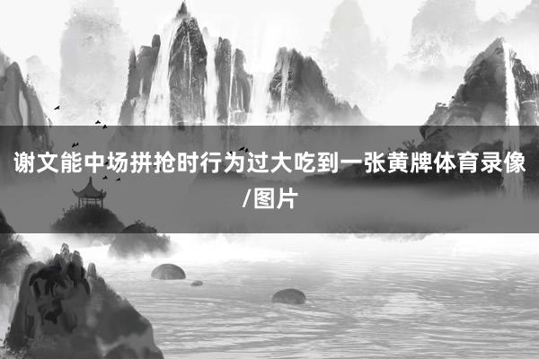 谢文能中场拼抢时行为过大吃到一张黄牌体育录像/图片