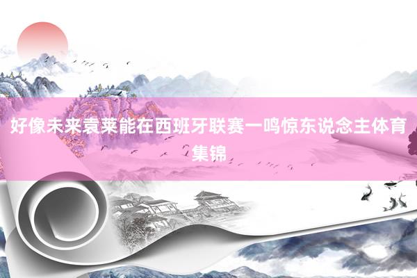 好像未来袁莱能在西班牙联赛一鸣惊东说念主体育集锦