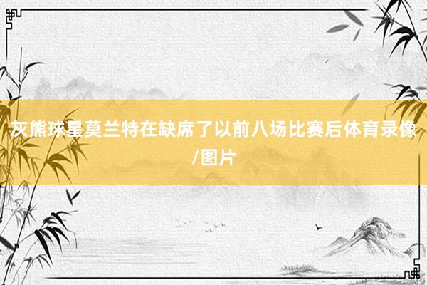 灰熊球星莫兰特在缺席了以前八场比赛后体育录像/图片