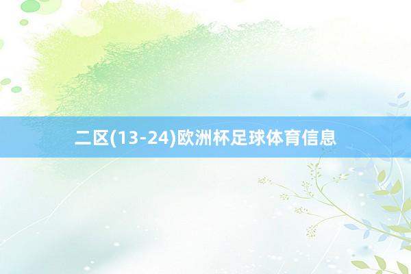 二区(13-24)欧洲杯足球体育信息
