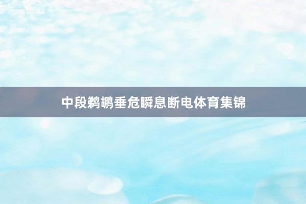 中段鹈鹕垂危瞬息断电体育集锦