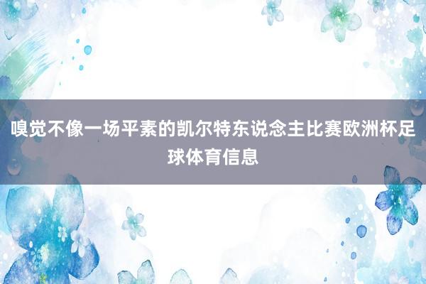 嗅觉不像一场平素的凯尔特东说念主比赛欧洲杯足球体育信息
