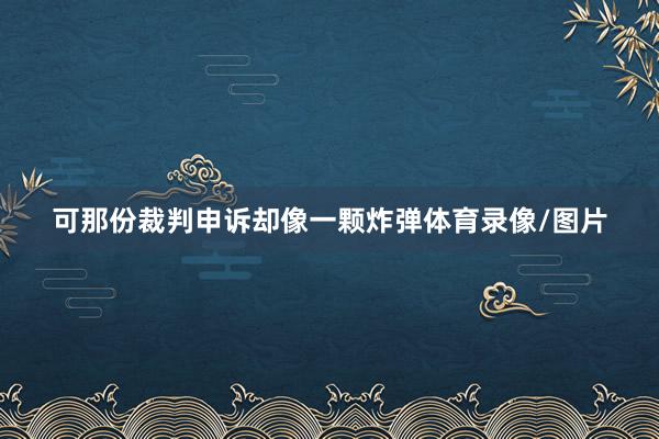 可那份裁判申诉却像一颗炸弹体育录像/图片