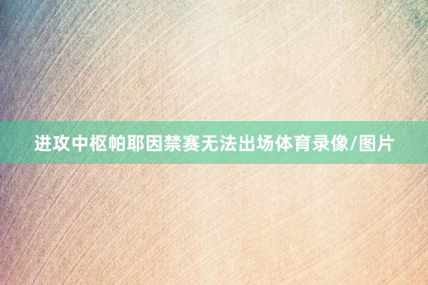 进攻中枢帕耶因禁赛无法出场体育录像/图片