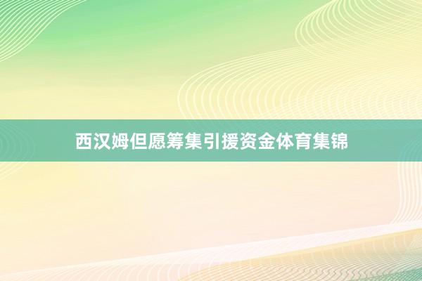 西汉姆但愿筹集引援资金体育集锦