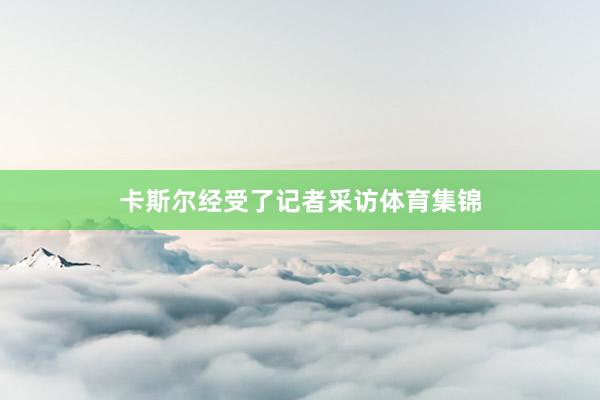 卡斯尔经受了记者采访体育集锦
