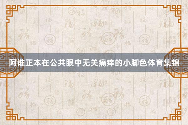 阿谁正本在公共眼中无关痛痒的小脚色体育集锦