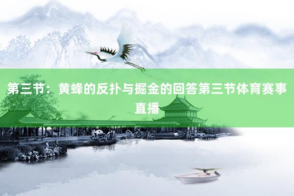 第三节：黄蜂的反扑与掘金的回答第三节体育赛事直播